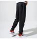 Спортивний костюм Air Jordan Jumpman Logo 4