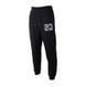 Штаны JORDAN M J SPRT DNA FLC PANT 1