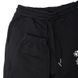 Штаны JORDAN M J SPRT DNA FLC PANT 3