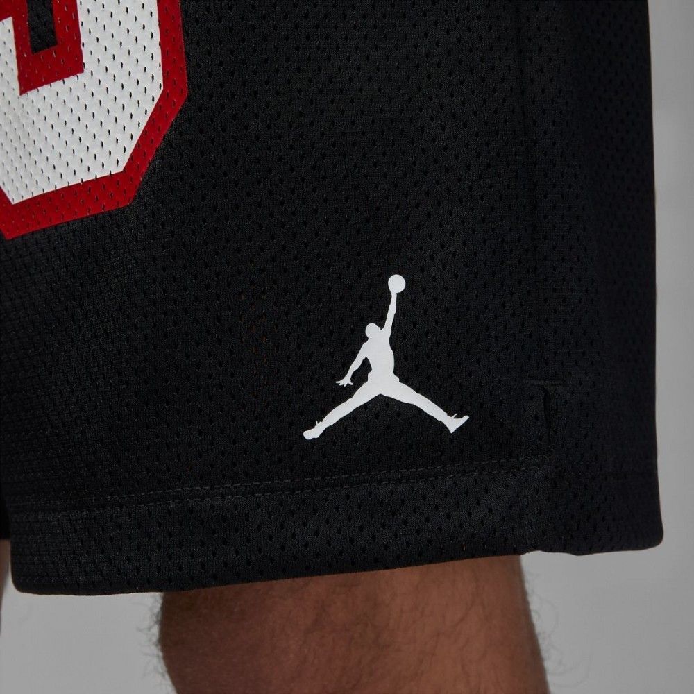 Шорти JORDAN MESH 23 купить
