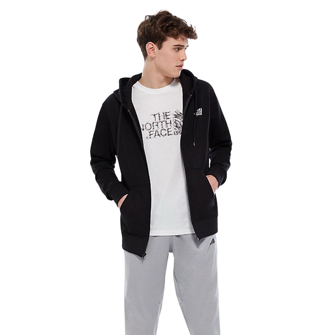 Толстовка The North Face FELPA OPEN GATE купить