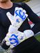 Воротарські рукавиці RG Aspro Blue White 4