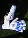 Воротарські рукавиці RG Aspro Blue White 8