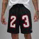 Шорти JORDAN MESH 23 4