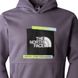 Толстовка The North Face ES GRAPHIC HOODI 2