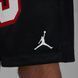 Шорти JORDAN MESH 23 6