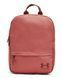 Рюкзак Under Armour Loudon Backpack 1