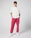 Штани чоловічі Nike M J Ess Stmt Wash Flc (FB7298-619) 4