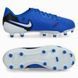 Бутси Nike JR LEGEND 10 CLUB FG/MG 1