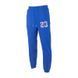 Штаны JORDAN M J SPRT DNA FLC PANT 1