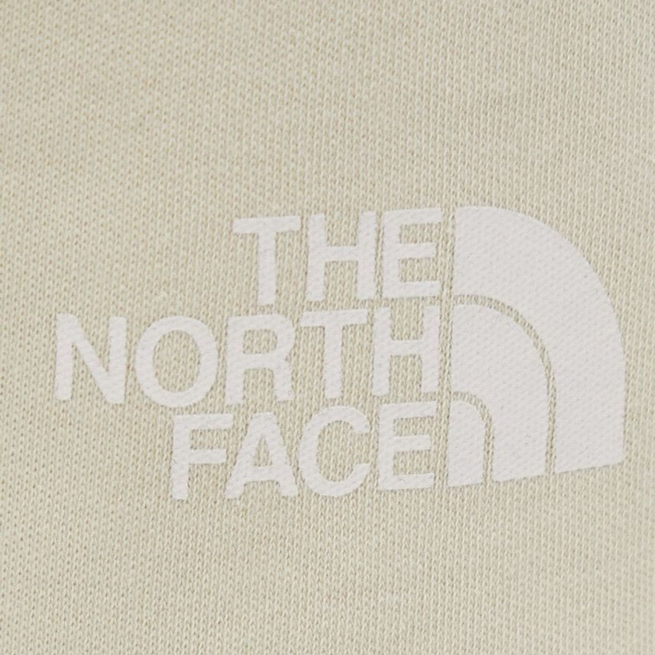 Шорти The North Face GRAPHIC SHORT LIGHT купить