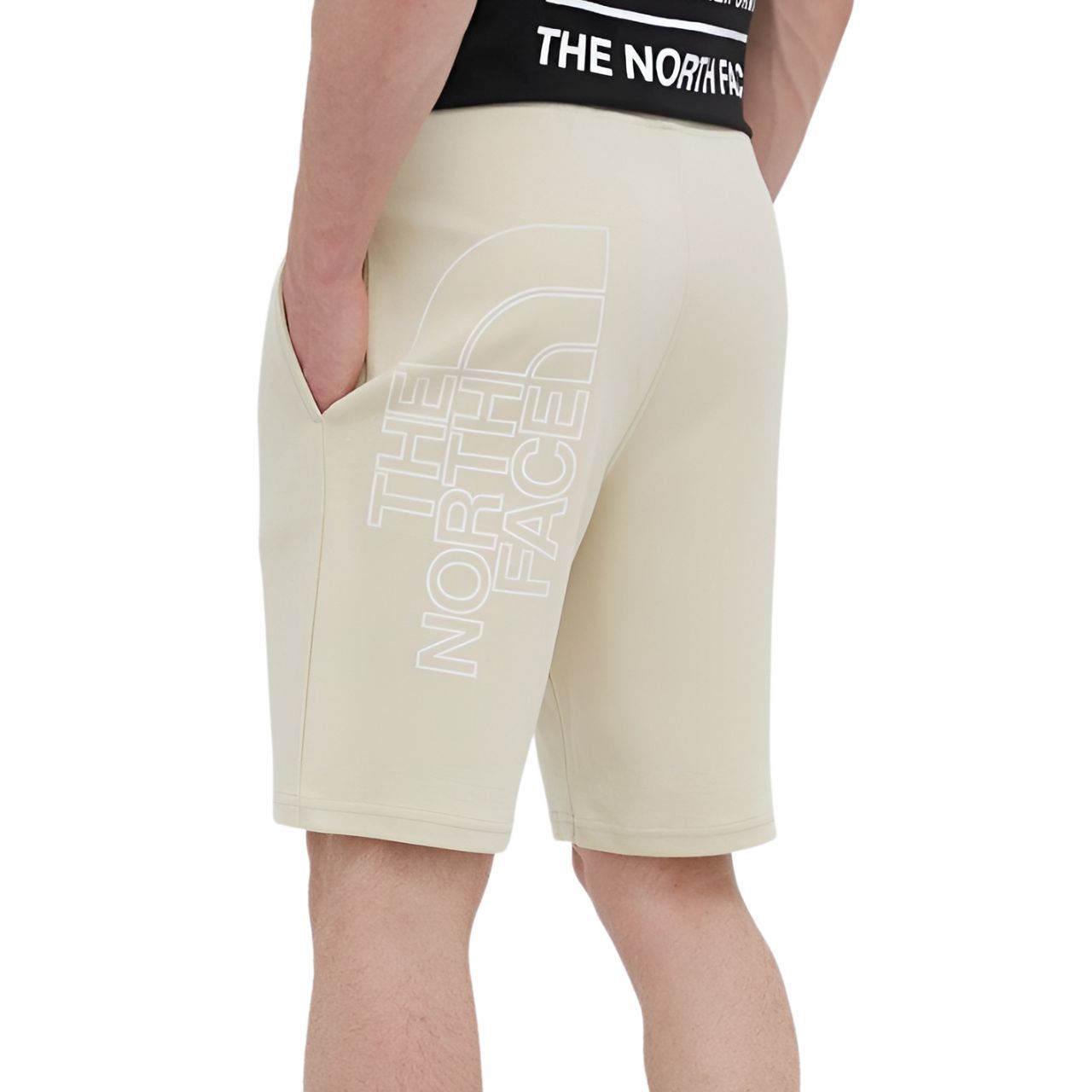 Шорти The North Face GRAPHIC SHORT LIGHT купить