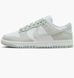 Кросівки Nike Dunk Low Light Silver Corduroy (W) 1