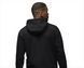 Худі CARHARTT HOODED AMERICAN SCRIPT SWEAT LUMBER 3