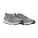 Мужские кроссовки Nike Revolution 5 5