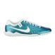 Сороконіжки Nike LEGEND 10 ACADEMY TF 30 2