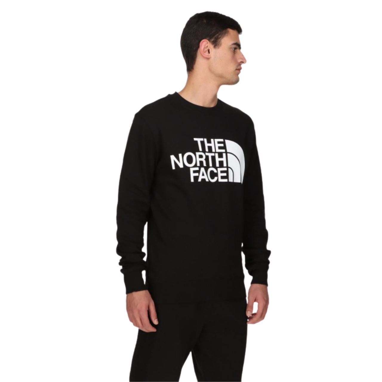 Толстовка The North Face Standard Crew купить