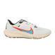 Кросівки Nike AIR ZOOM PEGASUS 40 SE 2