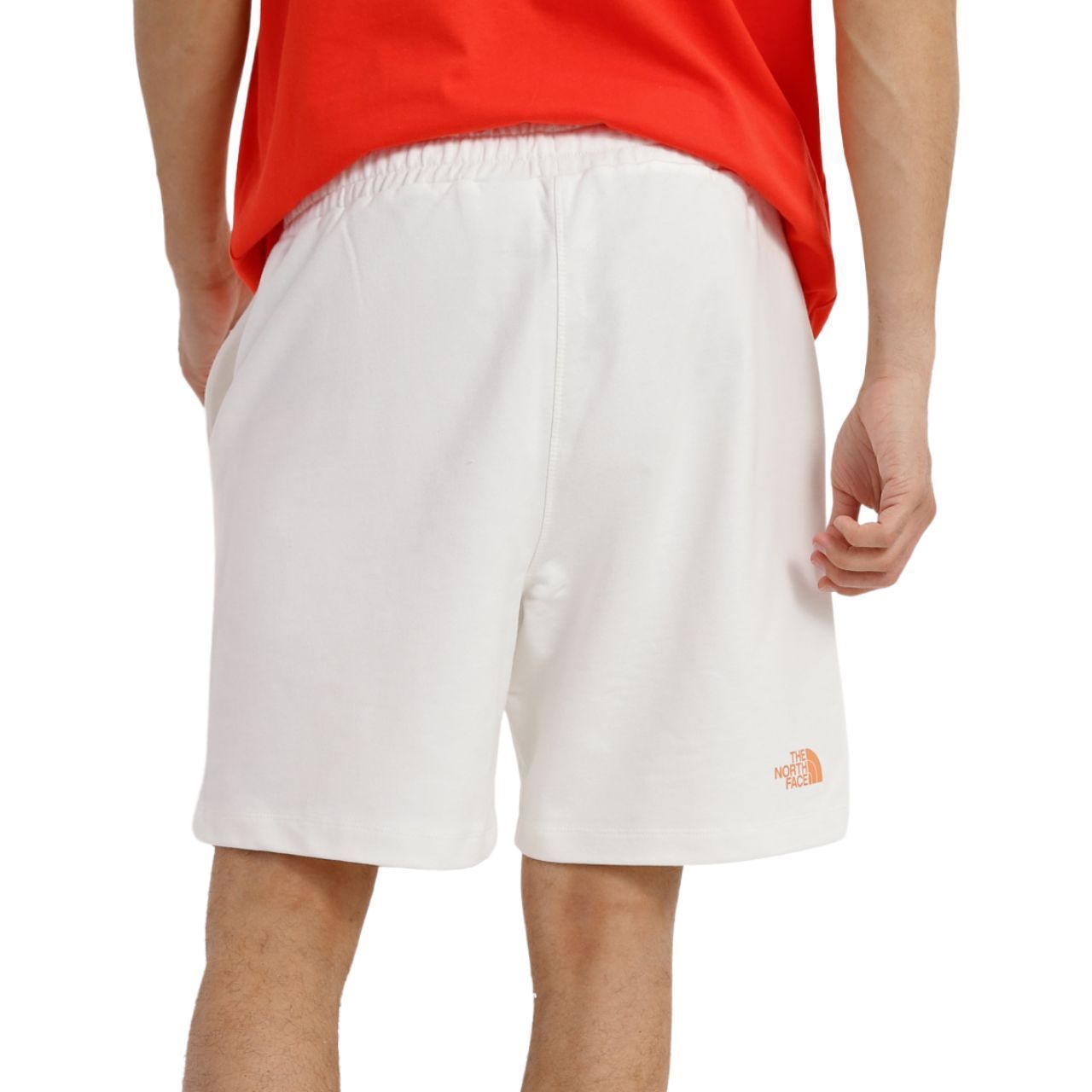 Шорти The North Face M D2 GRAPHIC SHORT купити