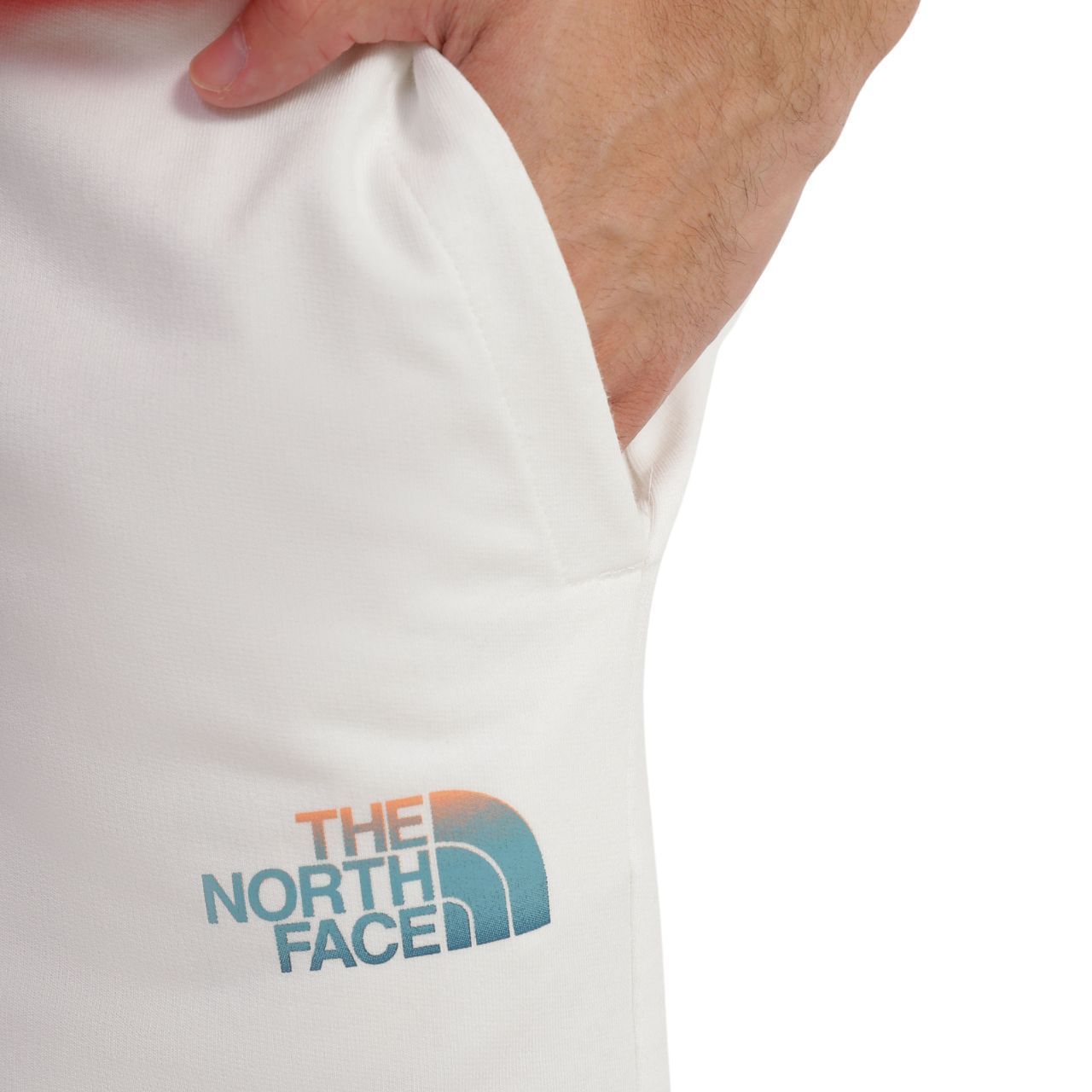 Шорти The North Face M D2 GRAPHIC SHORT купити