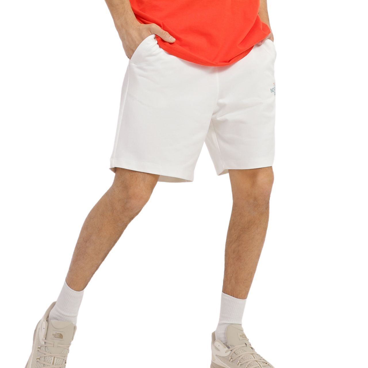 Шорти The North Face M D2 GRAPHIC SHORT купити