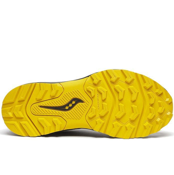 Кросівки для бігу Saucony EXCURSION TR17 GTX купить
