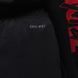 Штани JORDAN M J ZION DF CSVR PANT 6