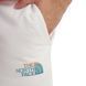 Шорти The North Face M D2 GRAPHIC SHORT 4