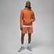 Кофта чоловічі Jordan Brooklyn Fleece (DQ7466-847) 5