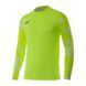 Кофта Nike Dry Park IV Goalkeeper Jersey Long Sleeve 1