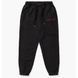 Штани Jordan Wordmark Pants Wmns 4