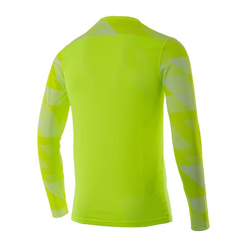 Кофта Nike Dry Park IV Goalkeeper Jersey Long Sleeve купить