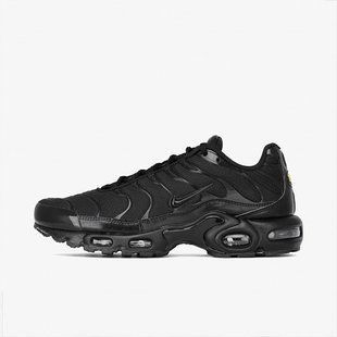 Кросівки Nike AIR MAX PLUS купити
