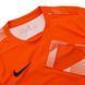 Кофта Nike Dry Park IV Goalkeeper Jersey Long Sleeve 3