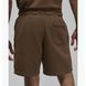 Шорти JORDAN WORDMARK 2