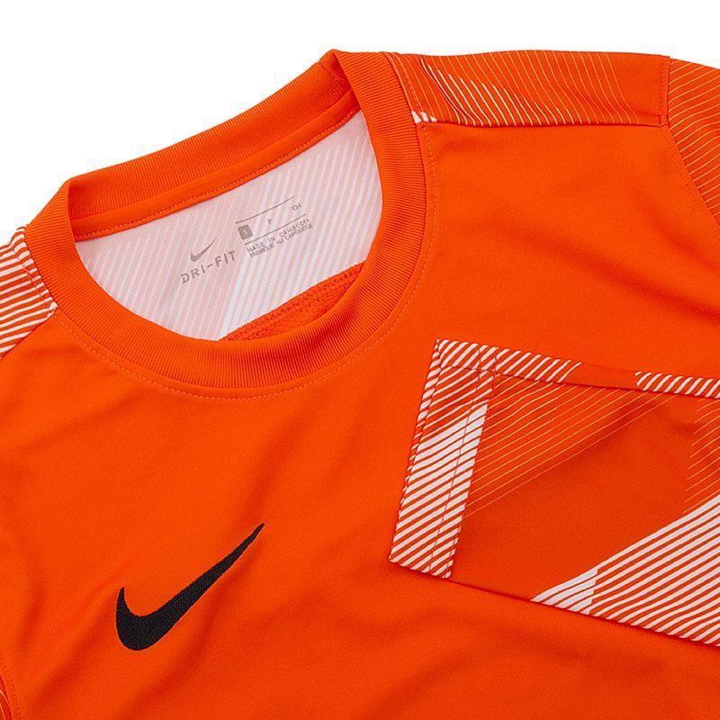 Кофта Nike Dry Park IV Goalkeeper Jersey Long Sleeve купить