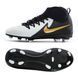 Бутсы Nike Phantom Luna II Club FG/MG Junior 1