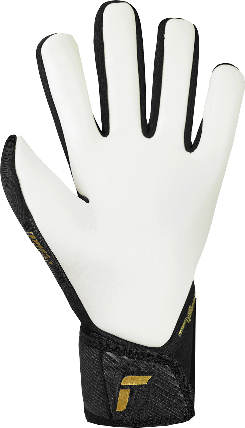 Воротарські рукавиці Reusch Fastgrip Silver купити