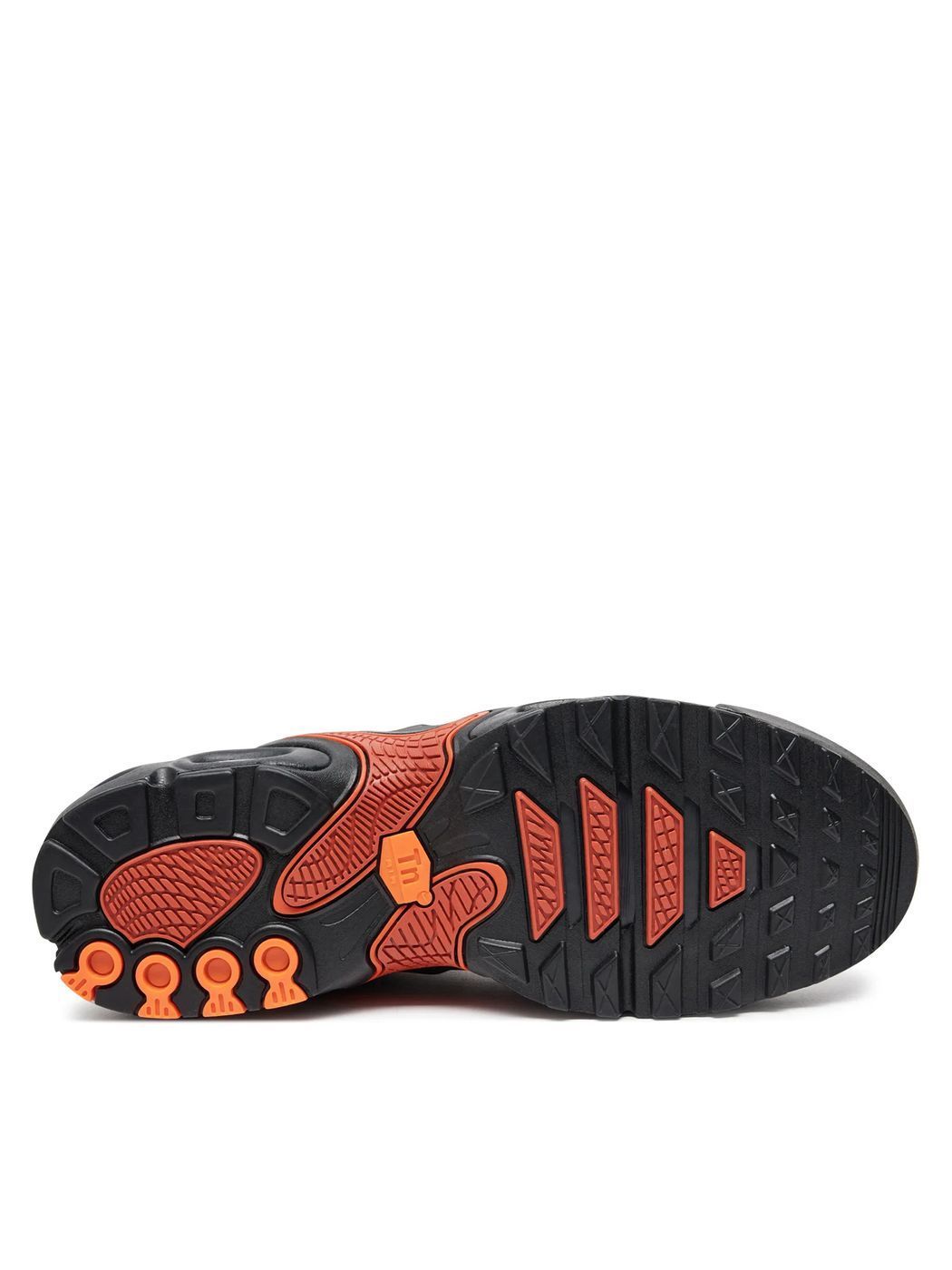 Кросівки NIKE AIR MAX PLUS DRIFT купити