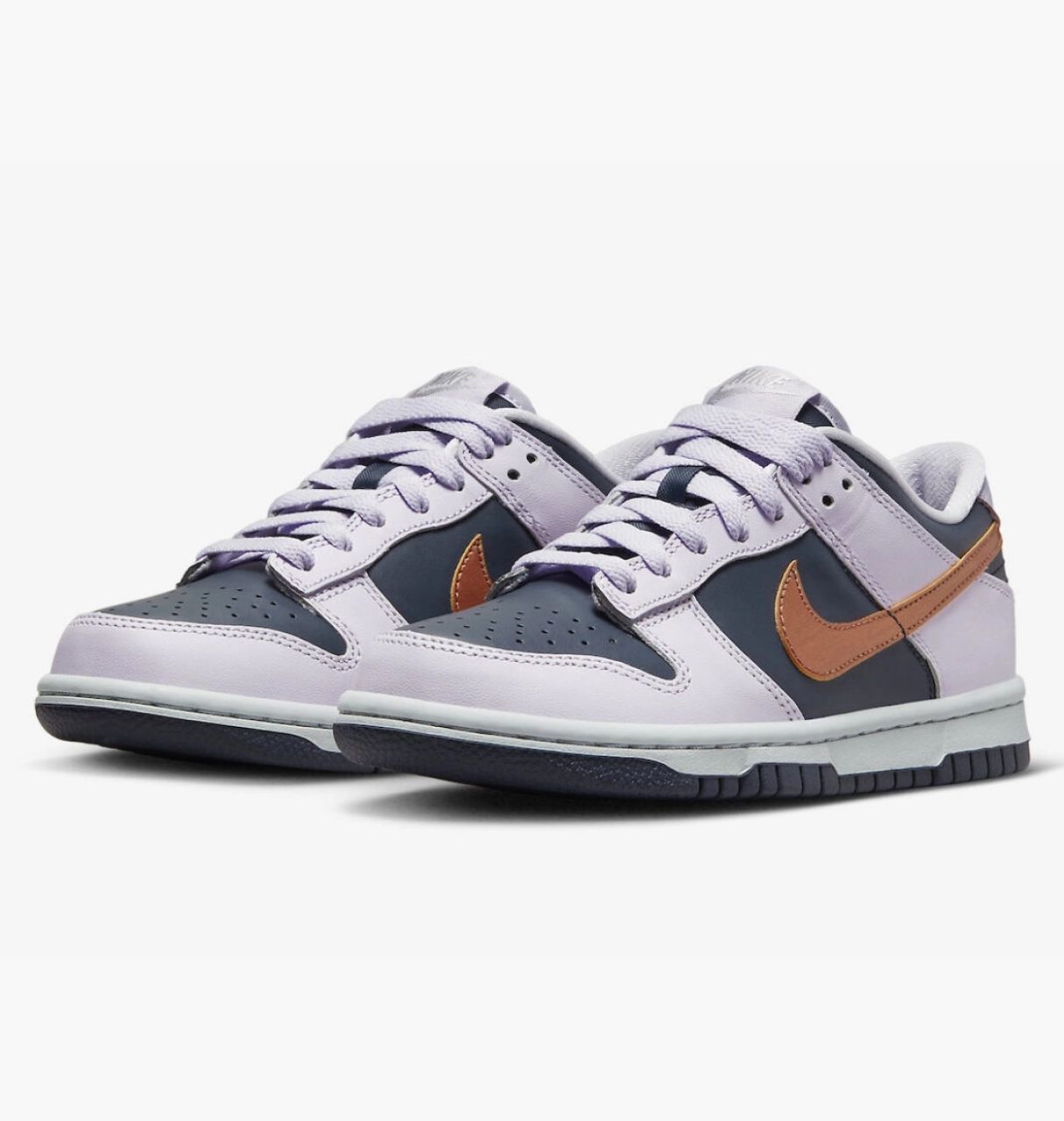 Кросівки Nike Dunk Low Se (Gs) купити