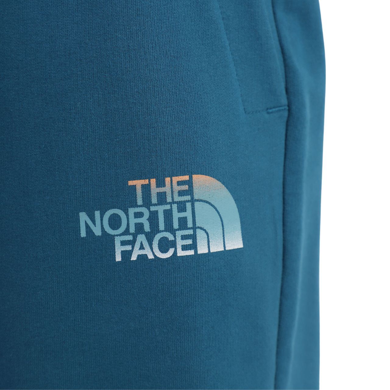 Шорти The North Face D2 GRAPHIC SHORT купить