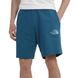 Шорти The North Face D2 GRAPHIC SHORT 1