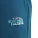 Шорти The North Face D2 GRAPHIC SHORT 2