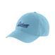 Бейсболка Carhartt Script Logo Cap 1