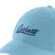 Бейсболка Carhartt Script Logo Cap 3