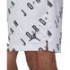 Шорти JORDAN AOP 5