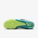 Кросівки Nike ZOOM RIVAL MULTI 2