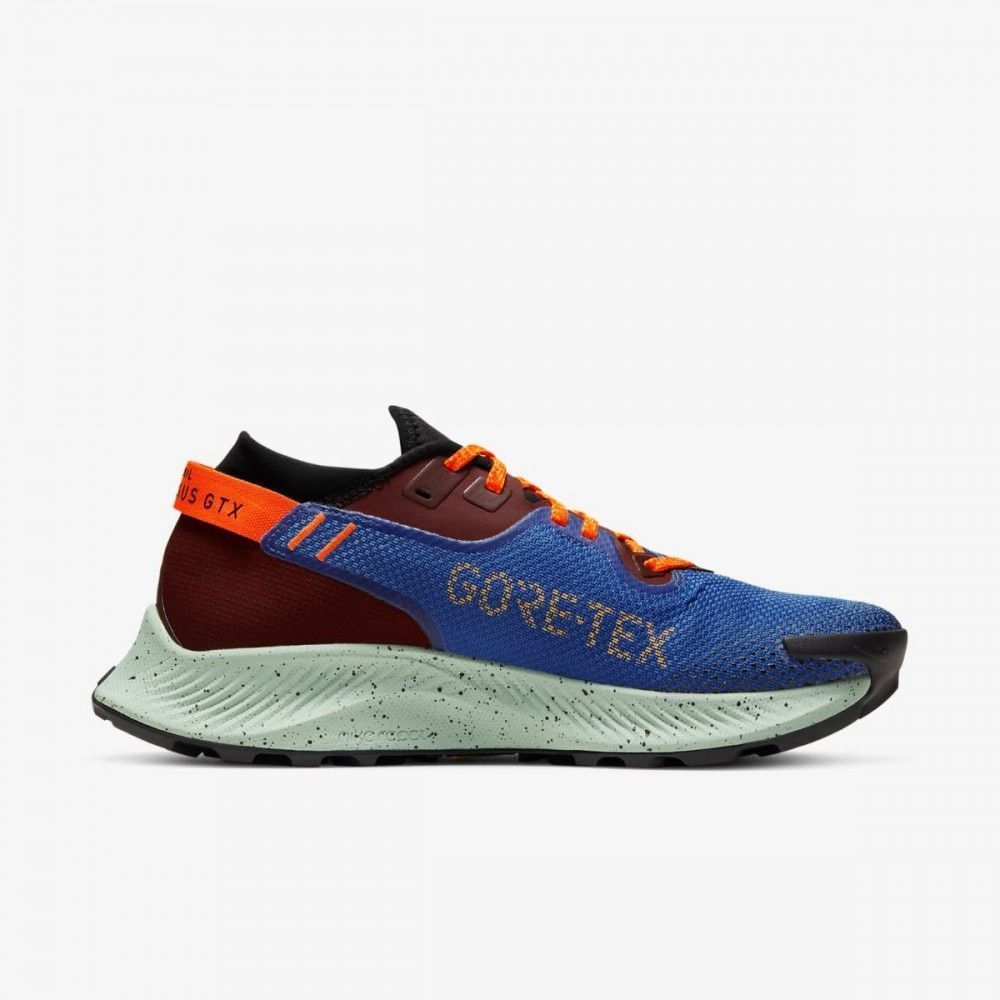 Кросівки Nike Pegasus Trail 2 Gore-Tex Mystic Dates Astronomy Blue (W) купить