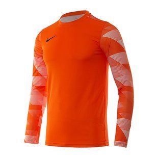 Кофта Nike Dry Park IV Goalkeeper Jersey Long Sleeve купити