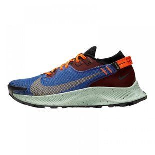 Кросівки Nike Pegasus Trail 2 Gore-Tex Mystic Dates Astronomy Blue (W) купити
